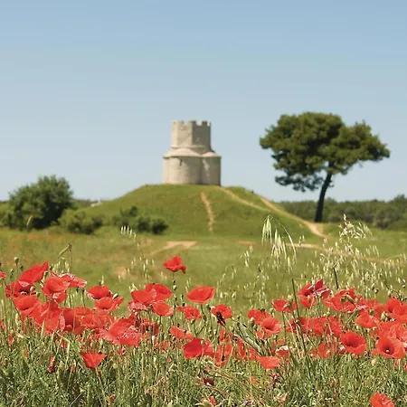 Διαμέρισμα In With Wifi Nin