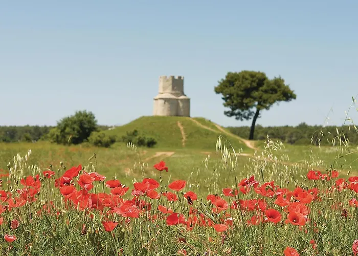 Апартаменты In With Wifi Нин